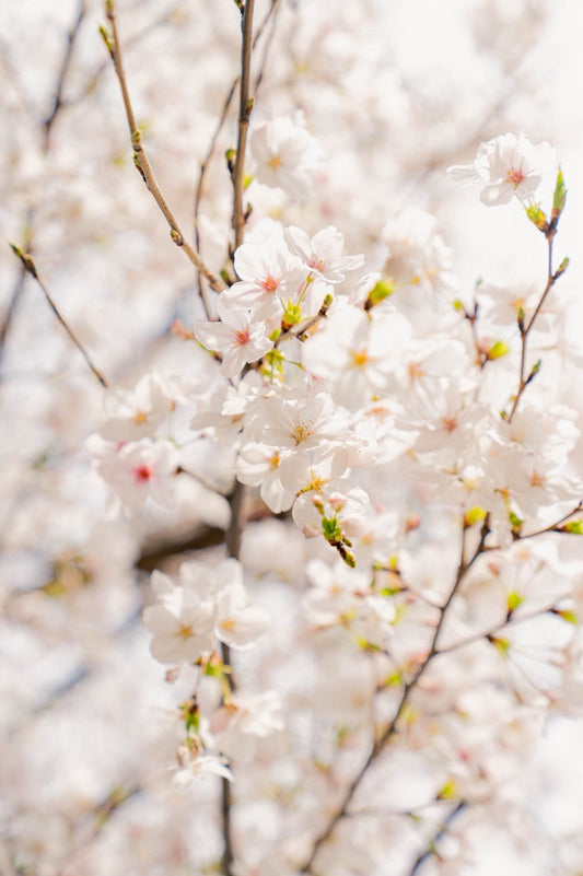 僕の服バカ日記 EP.150