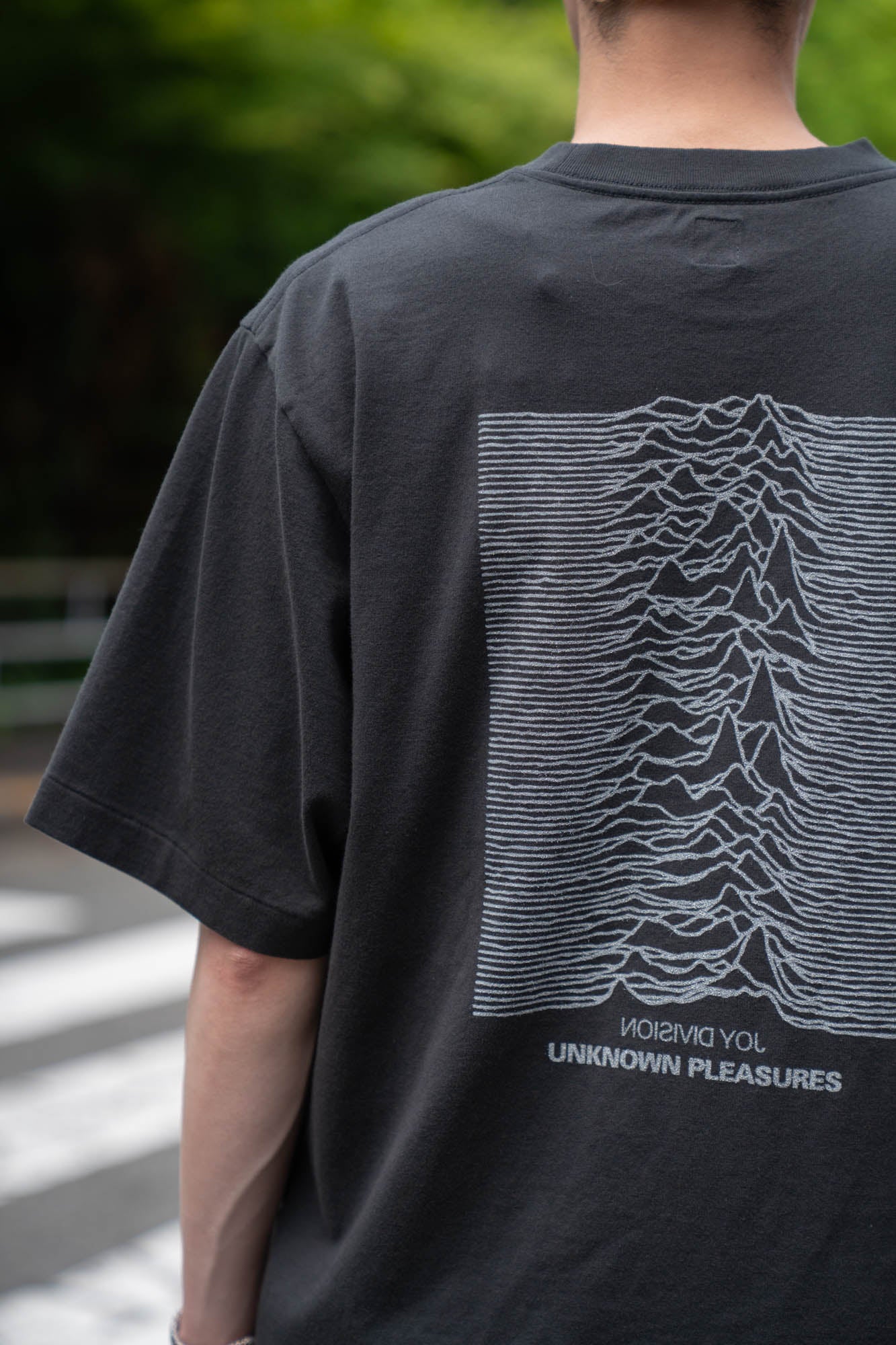 JD UNKNOWN PLEASURES Invert STANDARD