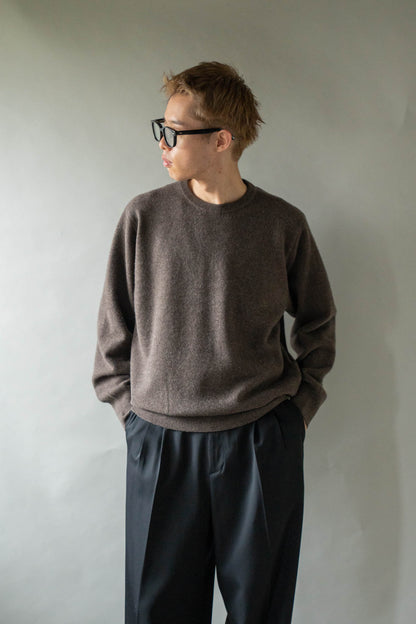 EXTRA FINE WOOL KNIT CREW NECK LS(ST.1634)