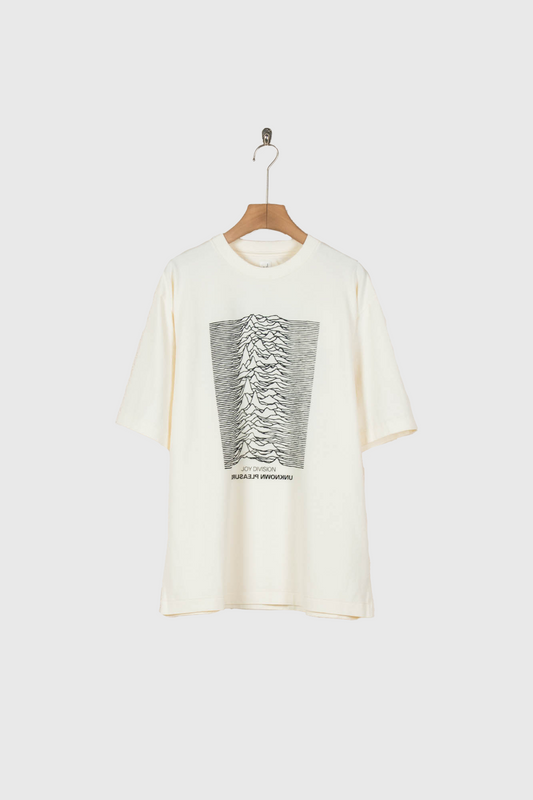 JD UNKNOWN PLEASURES Invert STANDARD