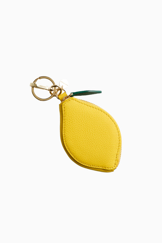 Lemon coincase