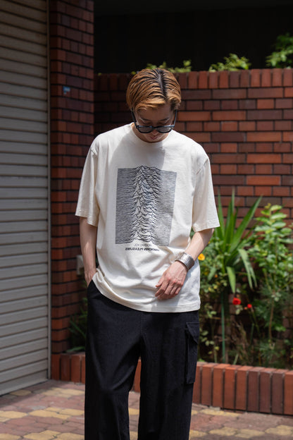 JD UNKNOWN PLEASURES Invert STANDARD