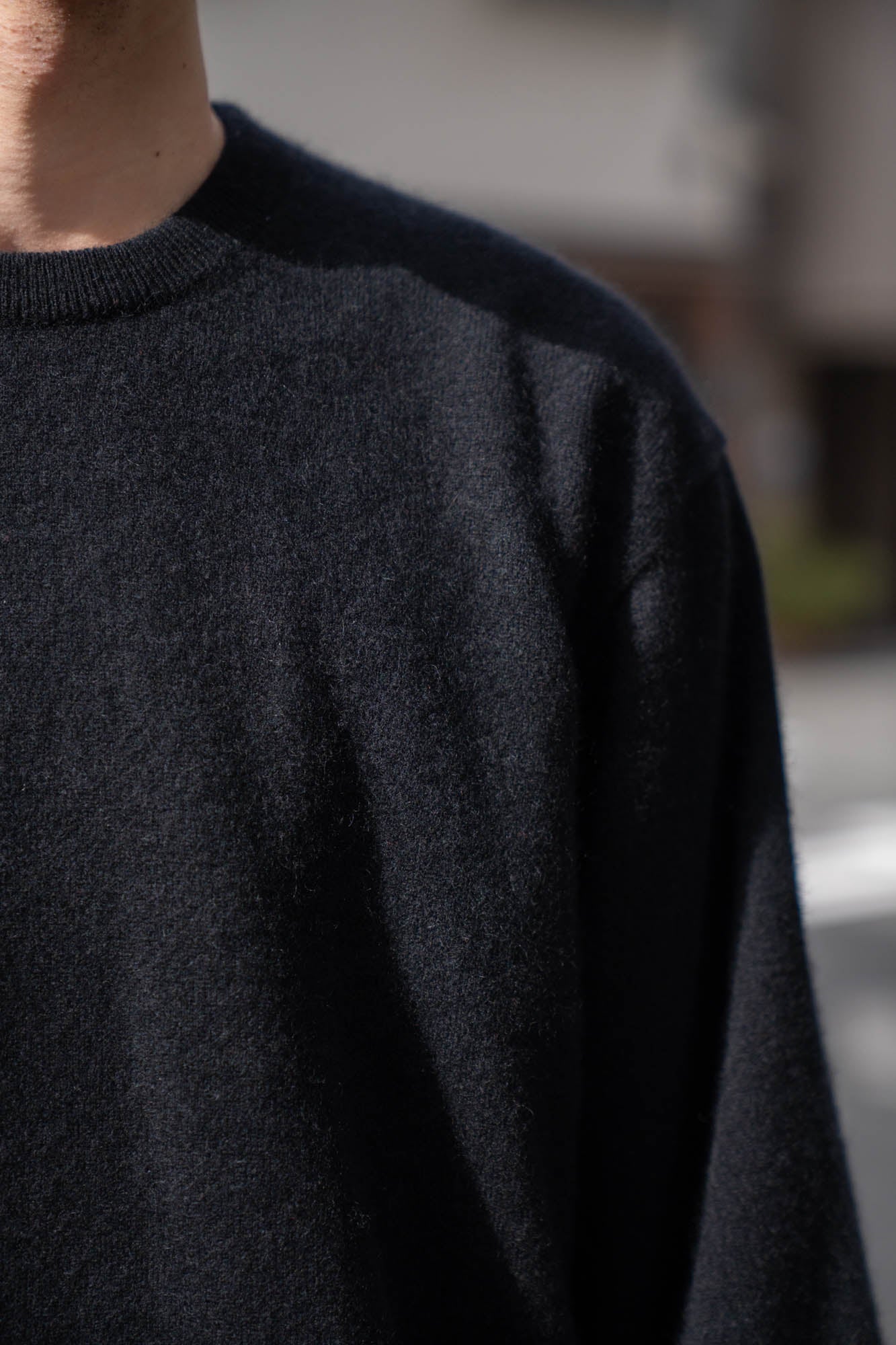 PURE CASHMERE KNIT CREW NECK LS(ST.1473) | ニット ssstein