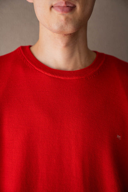 Ts Knit in Wool