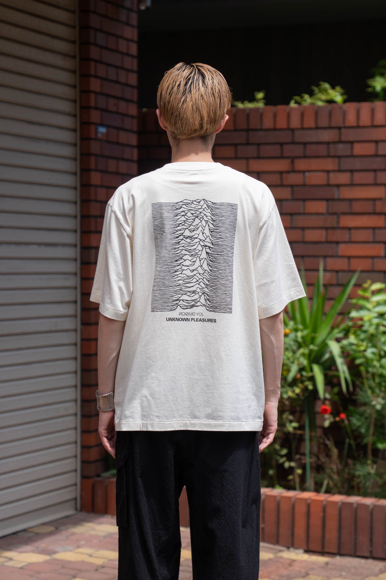 JD UNKNOWN PLEASURES Invert STANDARD