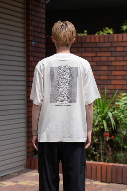 JD UNKNOWN PLEASURES Invert STANDARD