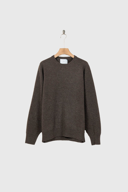 EXTRA FINE WOOL KNIT CREW NECK LS(ST.1634)