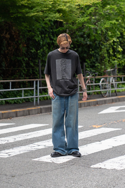 JD UNKNOWN PLEASURES Invert STANDARD