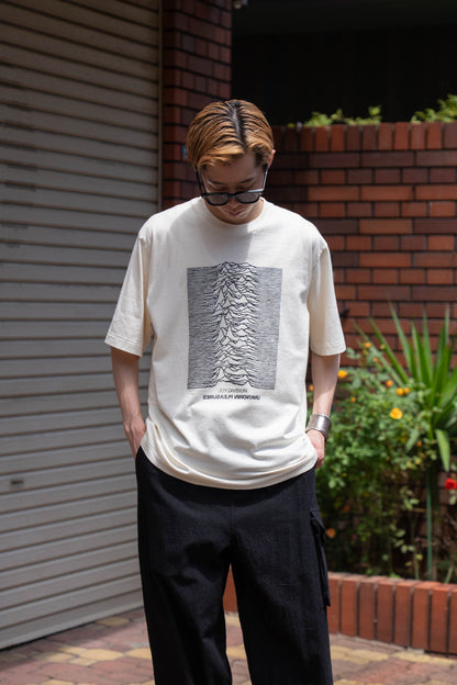 JD UNKNOWN PLEASURES Invert STANDARD