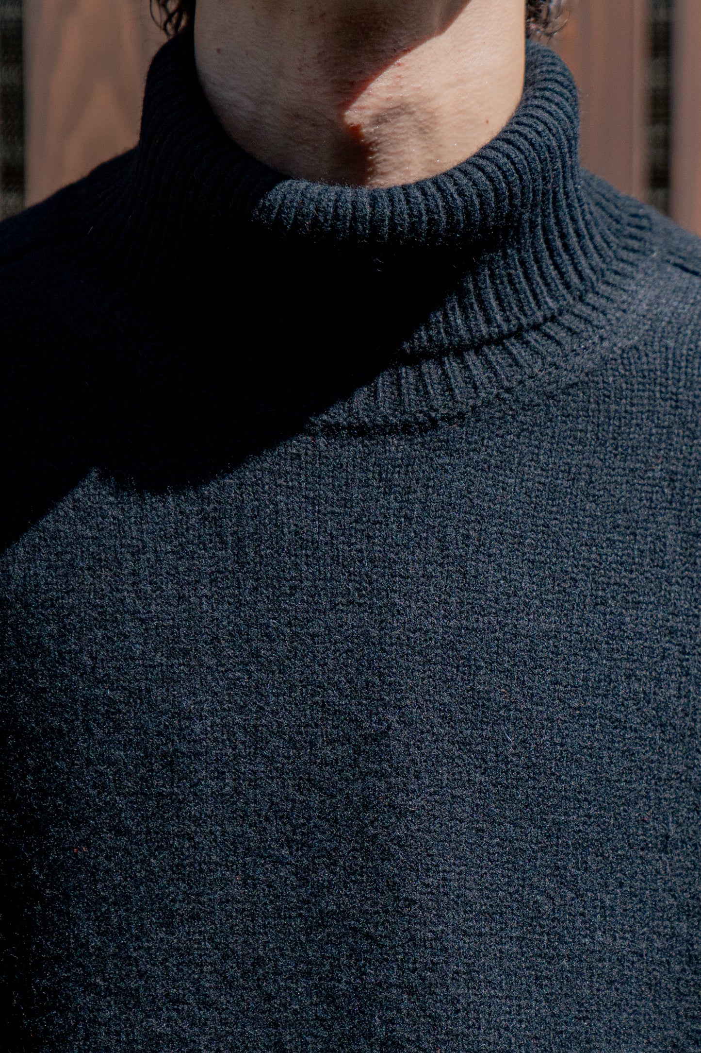 EXTRA FINE WOOL WARM KNIT TURTLE NECK LS