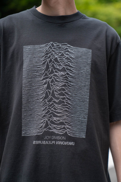 JD UNKNOWN PLEASURES Invert STANDARD