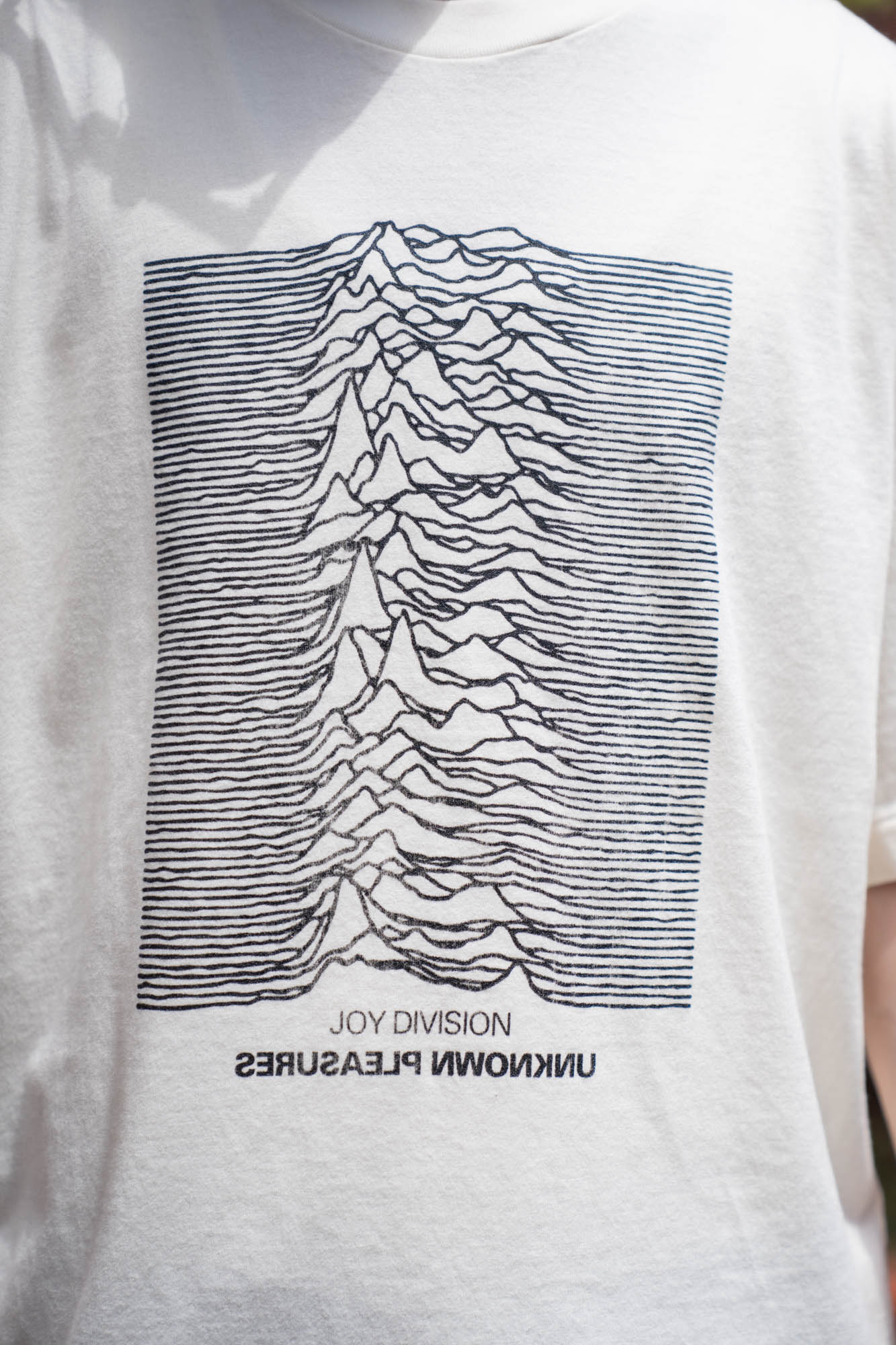 JD UNKNOWN PLEASURES Invert STANDARD