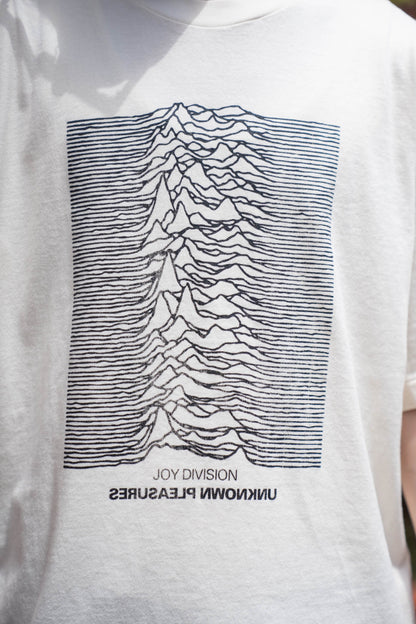 JD UNKNOWN PLEASURES Invert STANDARD