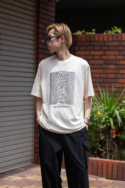 JD UNKNOWN PLEASURES Invert STANDARD