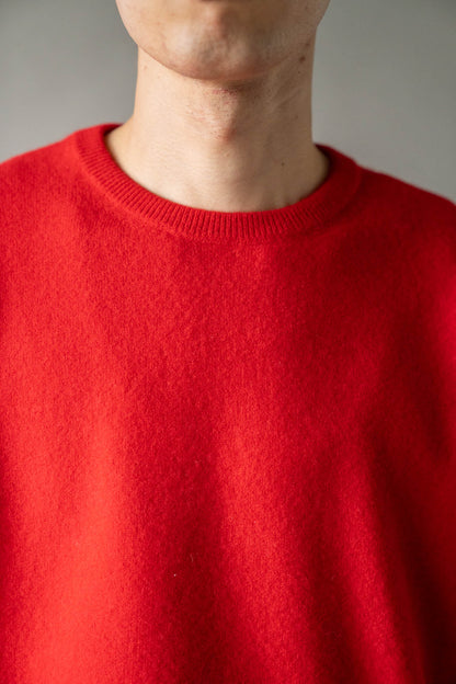 EXTRA FINE WOOL KNIT CREW NECK LS(ST.1634)