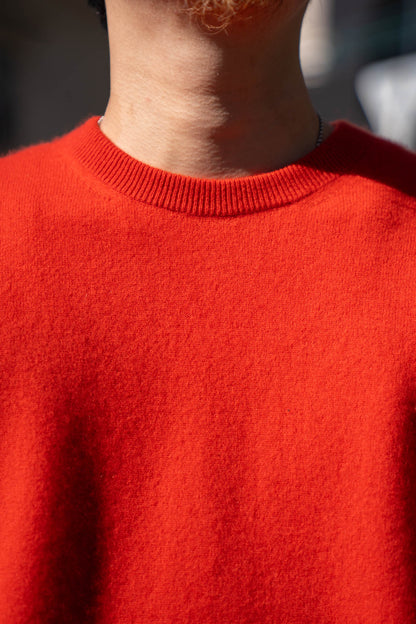 PURE CASHMERE KNIT CREW NECK LS(ST.1473)