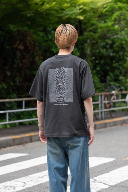 JD UNKNOWN PLEASURES Invert STANDARD
