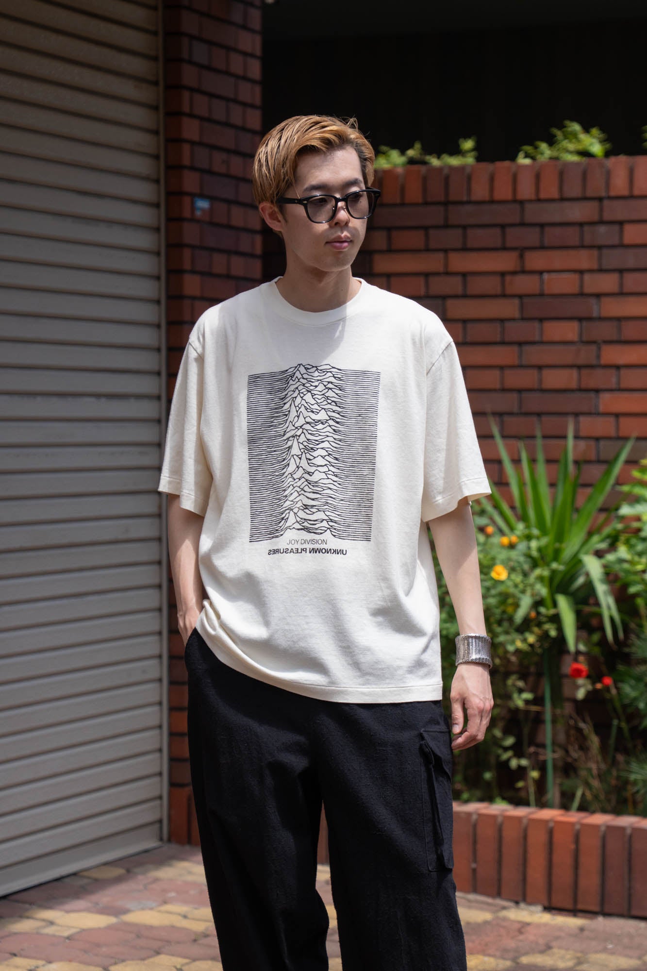 JD UNKNOWN PLEASURES Invert STANDARD
