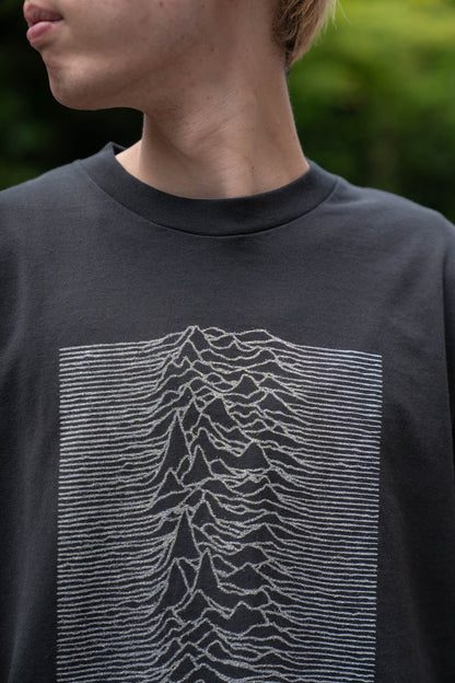 JD UNKNOWN PLEASURES Invert STANDARD
