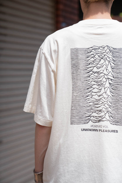 JD UNKNOWN PLEASURES Invert STANDARD