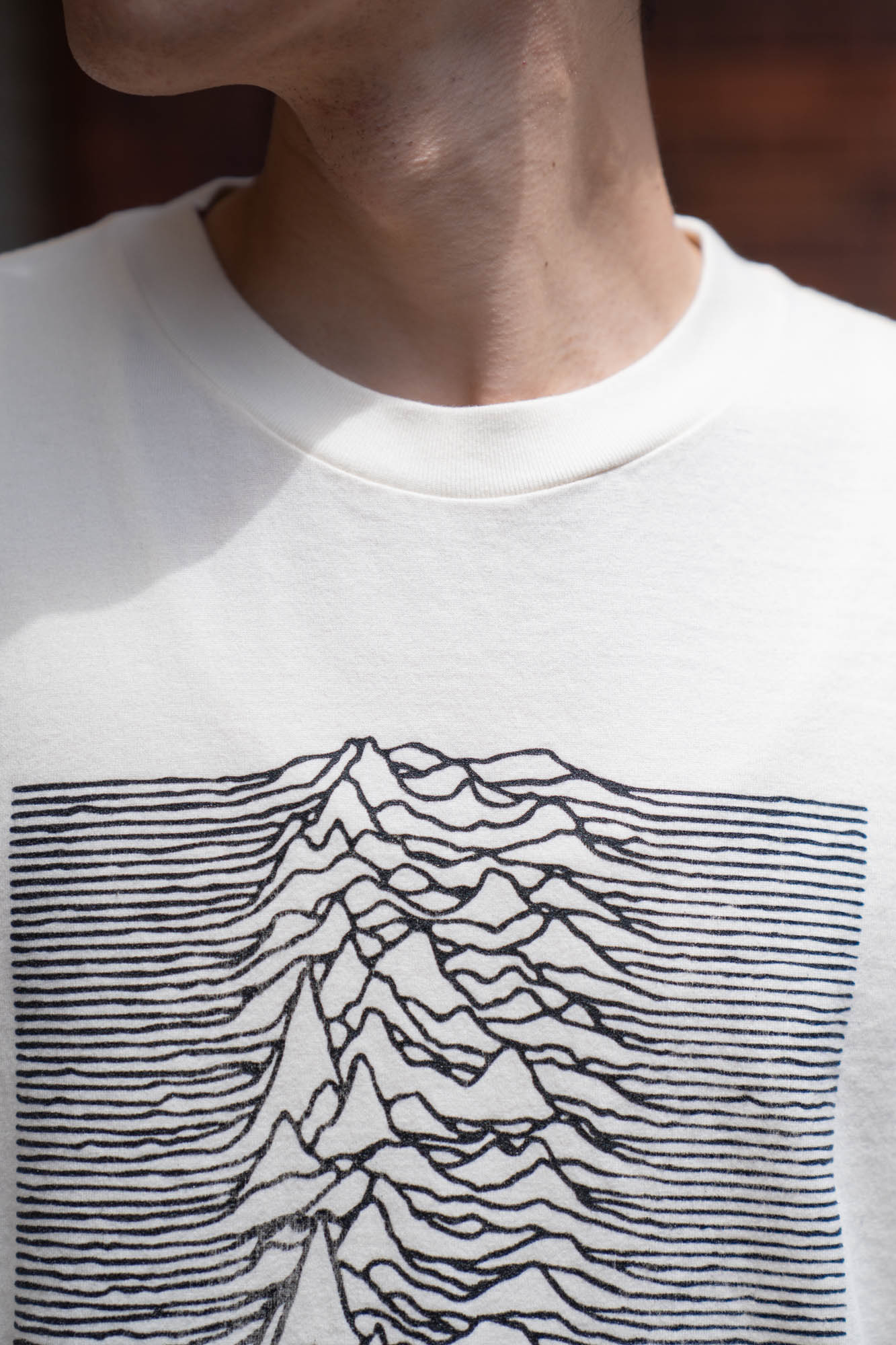 JD UNKNOWN PLEASURES Invert STANDARD