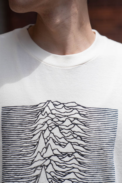 JD UNKNOWN PLEASURES Invert STANDARD