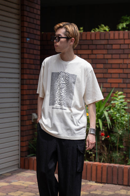 JD UNKNOWN PLEASURES Invert STANDARD