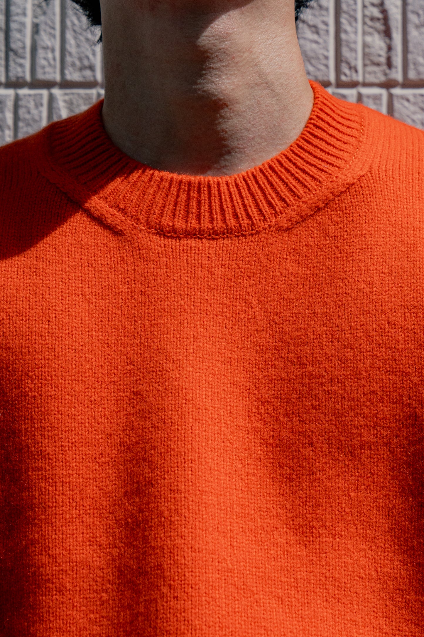 EXTRA FINE WOOL WARM KNIT CREW NECK LS